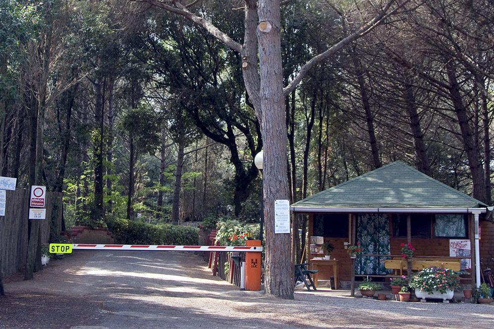 Villaggio Club Cecina Marina di Cecina Exterior foto